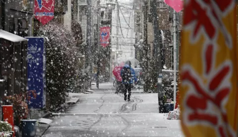 epa11973025 Pedestrians walk under snowfall in Tokyo, Japan, 19 March 2025. The Japan Meteorological Agency has urged caution regarding potential traffic disruptions due to accumulated snow and icy roads through the evening. EPA/FRANCK ROBICHON