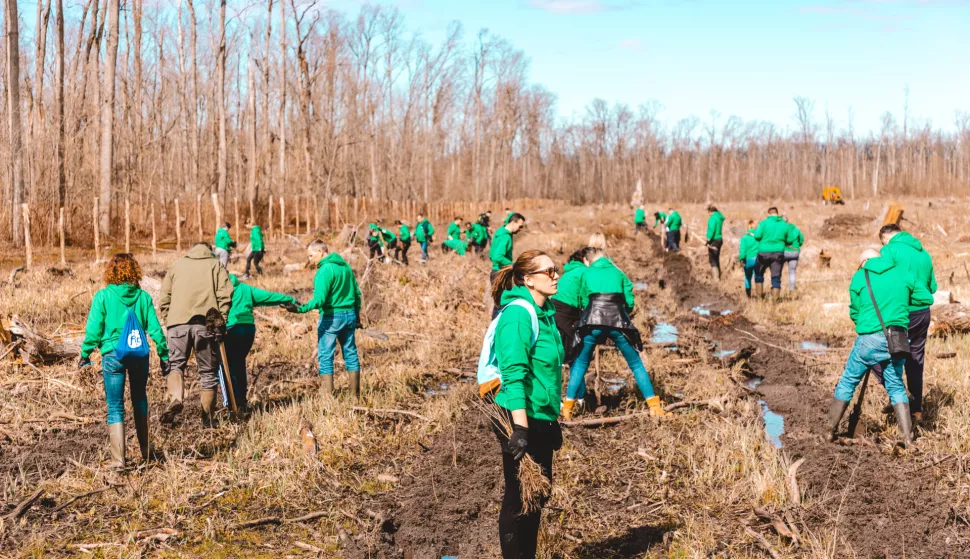 Projekt "Volim šume" - nastavljeno pošumljavanje spačvanskih šuma - Dukatožujak 2025.