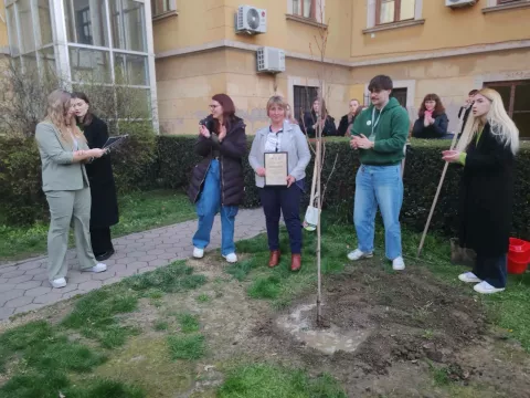 Saadnja drveta Likvidambar