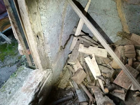 Vlado Lađarević i Darko Karamazan Udruga Zmijolovac jedina se u Hrvatskoj bavi izmještanjem zmija na području cijele zemlje.