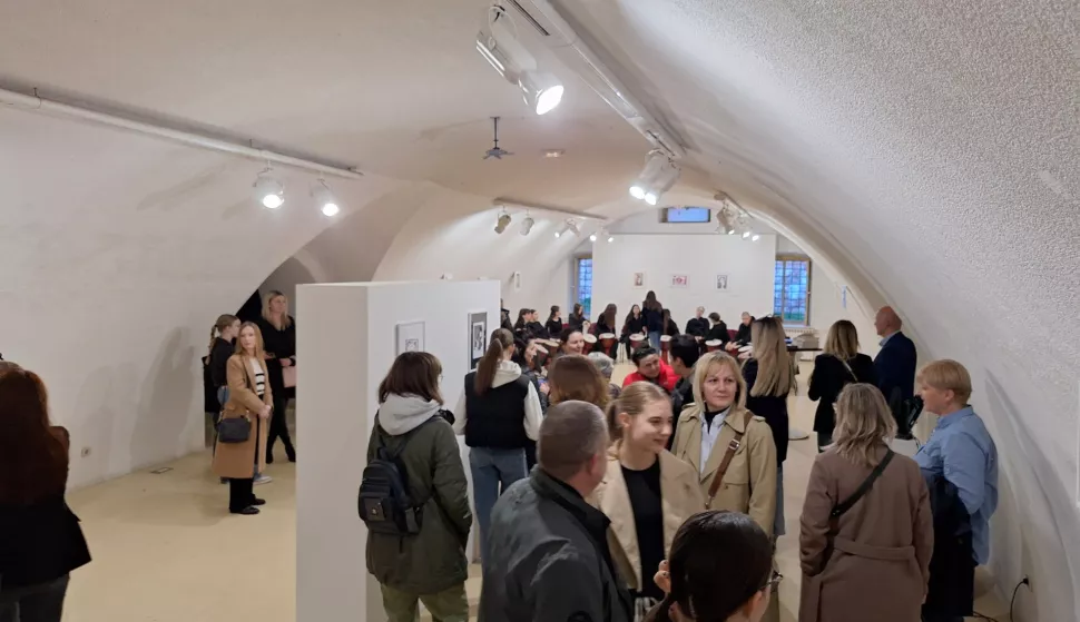 U Galeriji Kazamat otvorena izložba radova darovitih učenika s područja OBŽ-a, ožujak 2025.