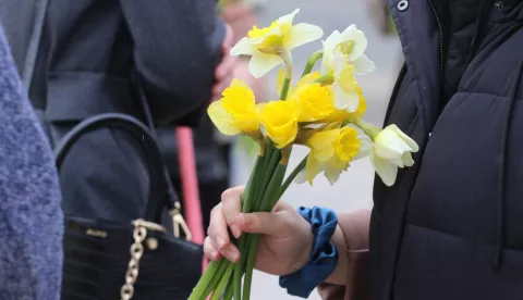 Osijek, 22. 03. 2025, Trg Ante Starčevića, tradicionalni Dan narcisa, dolazi i Radić.snimio GOJKO MITIĆ