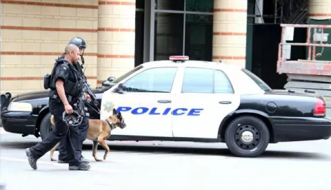 epa05341039 A canine police unit leaves the area near an engineering building where a shooting was reported on the University of California at Los Angeles campus in Los Angeles, California, USA, 01 June 2016. Latest reports indicated two people were killed and law enforcement is treating the incident as a murder-suicide situation. EPA/MIKE NELSON