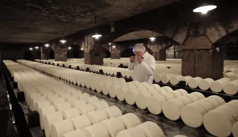 epa11995131 Bernard Roques, a master refiner of the company Societe, checks the quality of Roquefort cheese wheels as they age in the company's cellar in Roquefort-sur-Soulzon, southern France, 17 March 2025 (issued 28 March 2025). The Roquefort cheese celebrates 100 years since it was granted the Protected Designation of Origin (PDO) status 1925. The iconic cheese, produced exclusively in the Occitania region of southern France, acquires its particular taste and texture from the Penicillium roqueforti fungus during the aging process it undergoes in the caves of Roquefort-sur-Soulzon. An estimated 5,000 people are directly employed in its production. EPA/GUILLAUME HORCAJUELO ATTENTION: This Image is part of a PHOTO SET