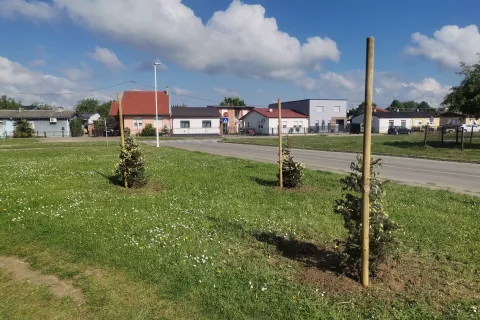 Osijek, 25. 04. 2024, Jug 2, Medulinska ulica. UNIKOM zelenilo izbuso rupe za sandice drveca i posadio drvece. Ozelenjavanje Juga 2.snimio GOJKO MITIĆ