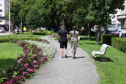 Osijek, 05. 06. 2024., Sakuntala, hortikultura, cvijece, zelenilo, parkovi, UNIKOMSNIMIO BRUNO JOBST