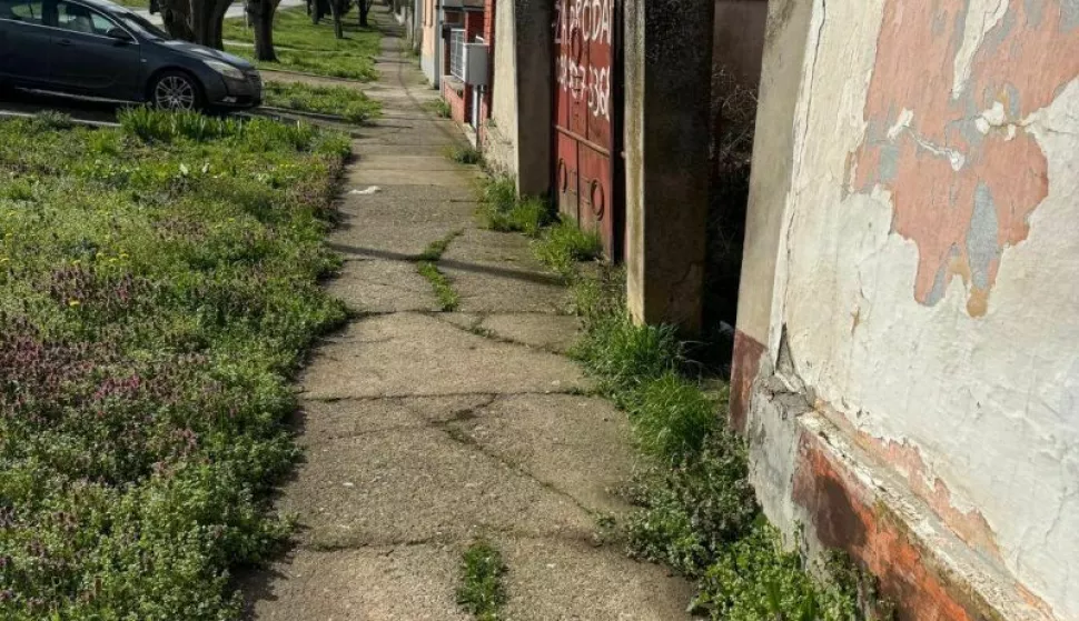 Devastirana staza u Petrovima (Općina Bogdanovci)