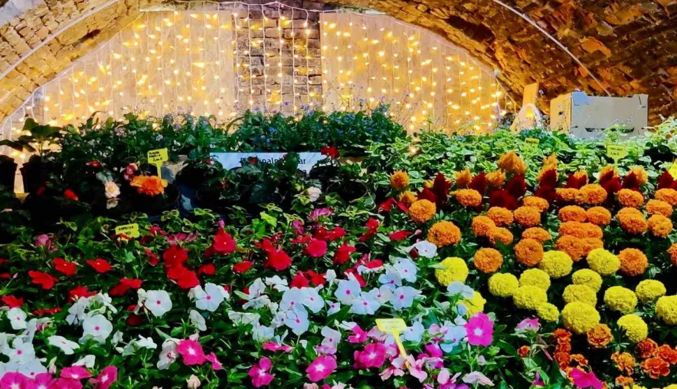 SLAVONSKI BROD FLORAFEST