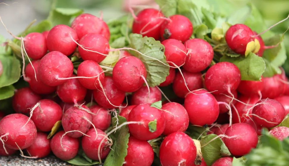 28.03.2018., Sibenik - Ponuda mladog luka i rotkvica uoci Uskrsa na gradskoj trznici. "nPhoto: Dusko Jaramaz/PIXSELL 