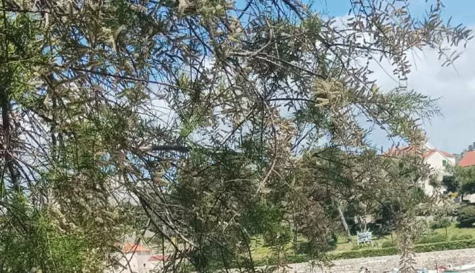 Hvar, 25.04.2025. - U Križnoj luci na Hvaru, gdje je u petak ujutro iz tanka Ine iscurilo gorivo u more, nije došlo do onečišćenja na otvorenom moru, priopćilo je Ministarstvo mora, prometa i infrastrukture. foto HINA/ Ministarstvo mora, prometa i infrastrukture/ tm