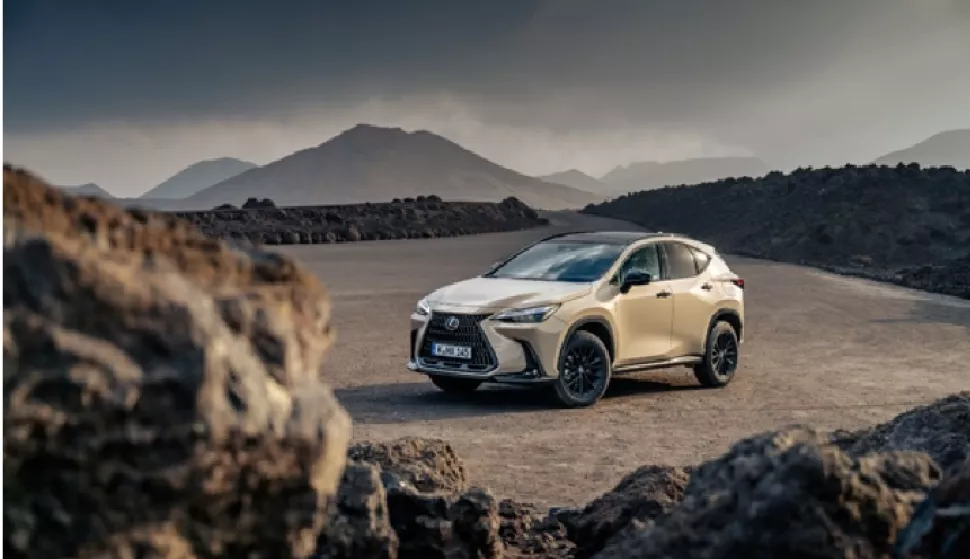 Lexus nx overload