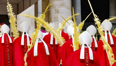 epa12028698 Cardinals arrive for the mass on Palm Sunday in St. Peter's Square at the Vatican, 13 April 2025. EPA/FABIO FRUSTACI