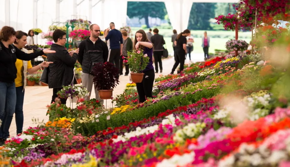 SLAVONSKI BROD - FLORAFEST, 2024.?