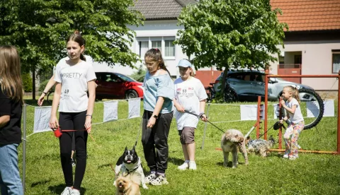 BELIŠĆE - Na tradicionalnoj reviji "Dijete i pas" koju je organiziralo Kinološko društvo (KD) Belišće bilo je prijavljeno 23 djece sa svojim ljubimcima, koji su bili podijeljeni u tri kategorije: štenci, mali i veliki psi.svibanj 2025.