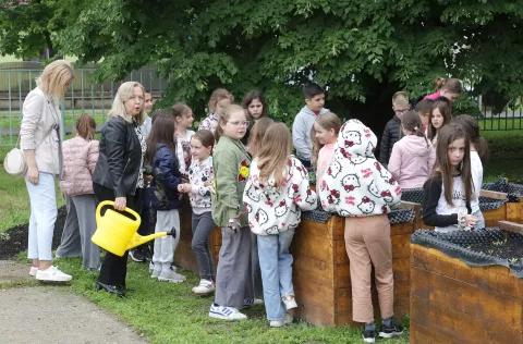 Osijek, 06. 05. 2025., OŠ Retfala, školski vrt, otvorenje, priredba, povišene sadnice, učenici, sadniceSNIMIO BRUNO JOBST