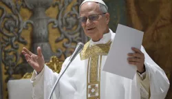 epa12086222 A handout picture provided by the Vatican Media shows Pope Leo XIV celebrating Mass with the Cardinal electors in the Sistine Chapel in Vatican City, 09 May 2025. EPA/VATICAN MEDIA HANDOUT HANDOUT EDITORIAL USE ONLY/NO SALES