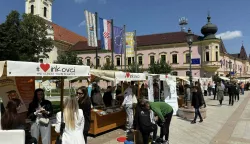 VINKOVCIU povodu Dana Europe Agencija za razvoj i investicije Grada Vinkovaca VIA i ove je godine u pješačkoj zoni na Trgu bana Šokčevića pripremila Sajam EU projekata na Orionu.9. 5. 2025.
