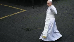 epaselect epa12090267 Pope Leo XIV waves at faithfuls as he walks inside the Vatican before the Regina Coeli prayer, Vatican City, 11 May 2025. EPA/RICCARDO ANTIMIANI