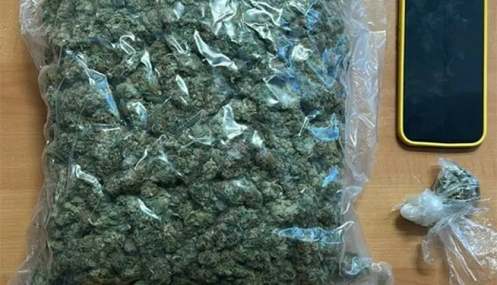 Zaplijenjena droga