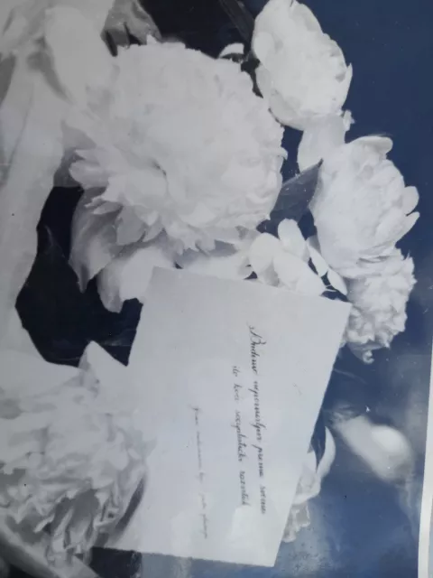 IZBORI 1950-ih i 1960-ih GODINAbožuri i poruka omladinaca