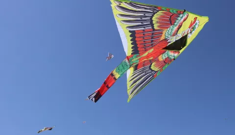 Osijek, 09.06.2019. - Spotski aerodrom Čepin - ZMAJADA - natjecanje u visini leta zmaja, natjecanje u kreativnosti, natjecanje s klizačima...Foto: Željko &Scaron;epić
