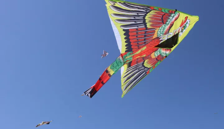 Osijek, 09.06.2019. - Spotski aerodrom Čepin - ZMAJADA - natjecanje u visini leta zmaja, natjecanje u kreativnosti, natjecanje s klizačima...Foto: Željko Šepić