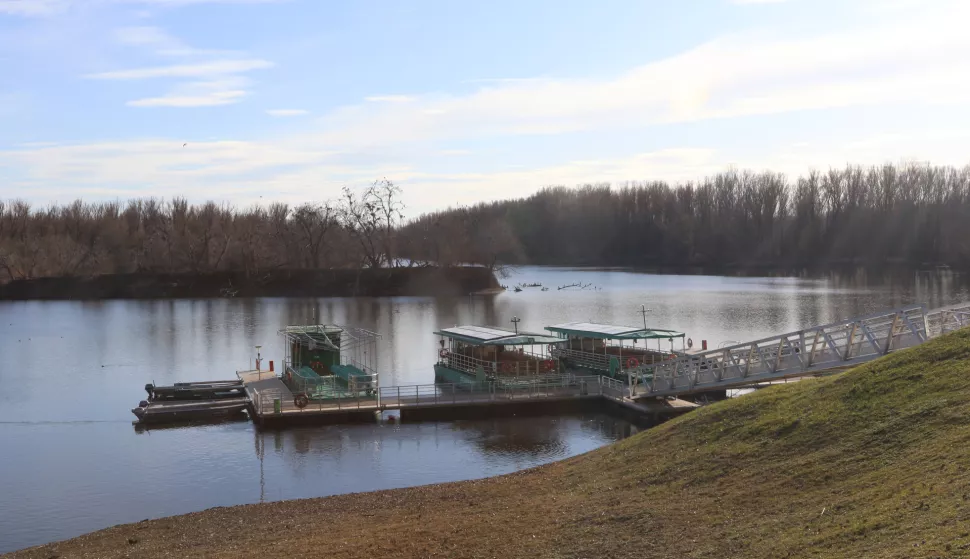 Kopačevo, 31. 01. 2025, Koopački rit, Međunarodni dan vlažnih stani&scaron;ta, obileženo u Kopačkom ritu.snimio GOJKO MIITĆ