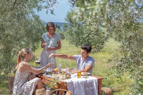 Piknik u masliniku