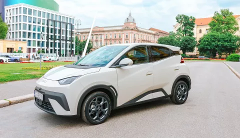 BYD Dolphin Surf