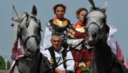 mozaik...babina greda...14.06.2015.35. manifestacija konji bijelci; na pocetku su svatovske zaprege prosle kroz selo, te je odrzano natjecanje u vezanju konjskog repa, sastavljanju seljackih kola, prezanju konja, voznji na paliji i na kraju najatraktivnije - teklicko jahanje....foto gordan panic