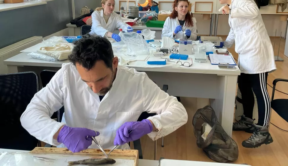 Labaratorijski rad na Instittutu Ruđer Bo&scaron;ković