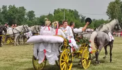 Konji bijelci 2024.foto: Marija Lešić Omerović