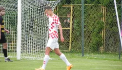 Živkoviću, ostani u Osijeku, vratit ćemo i Levaka?