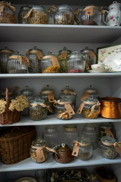 Trudnoća me potaknula da se puno više posvetim zdravom načinu života i prirodi