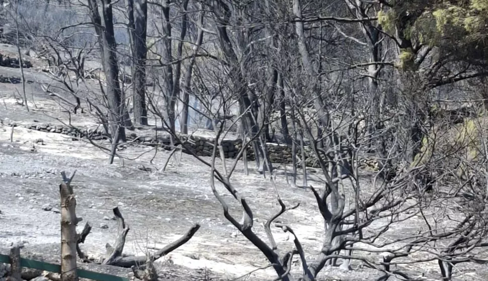 ZAGREB, 25. lipnja 2025. (Hina) - Vrhunac toplinskog vala očekuje se u četvrtak, kada će zapuhati i vrlo neugodan topli jugozapadni vjetar i zbog tih uvjeta indeks opasnosti od izbijanja šumskog požara u narednom periodu za cijelu je Hrvatsku visok u priobalju i na kontinentu, priopćio je u srijedu HVZ. 