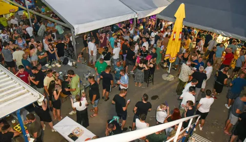 Velimirovačka ljetna večer