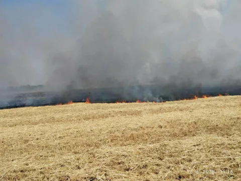 Za vrućih dana vatrogascima pune ruke posla: Na paklenoj vrućini, s 30 kg opreme, gase planula polja