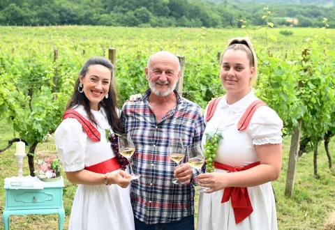 NOVI VINODOLSKI 08. 06. 2024. - DRUGI KVARNERSKI PJENUSAVI DORUCAK U VINARIJI PAVLOMIR, MIROSLAV PALINKAS,   SNIMIO - MILAN DEKIC