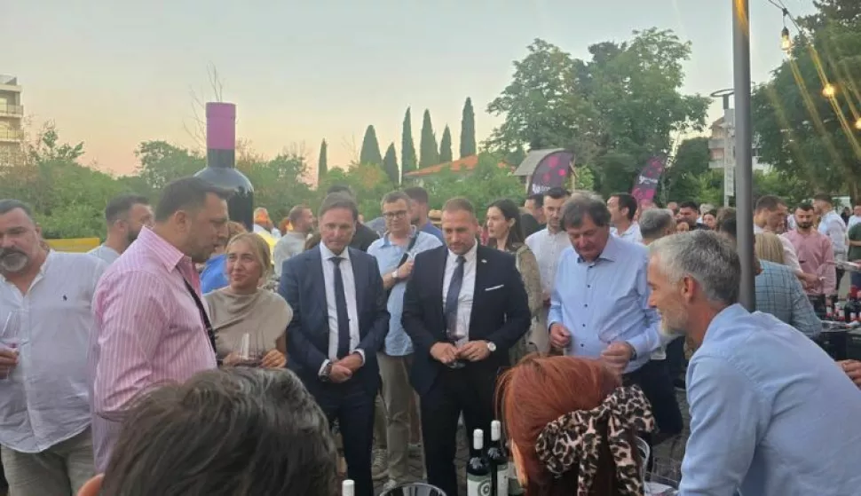 Ministar Vlajčić na Trnjak festulipanj 2025.