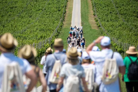 OBŽ: U prvoj polovini godine 14 posto više posjetitelja nego lani