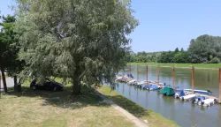 Osijek, 10. 06. 2025, Desna obala Drave potez od MNK Neptuna na zapad bent sjeverno od Opus Arene, spoj buduće šetnice prema Višnjevcu.snimio GOJKO MITIĆ