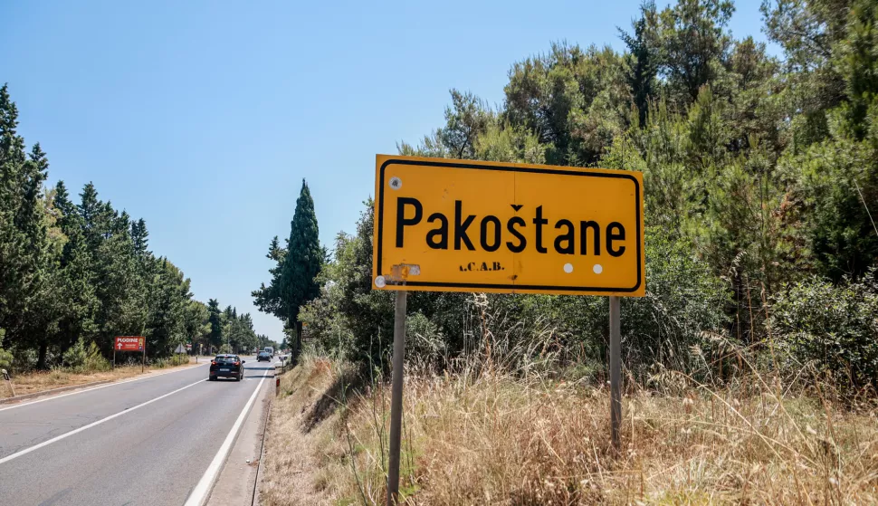 Slovak pretukao ženu, od ozljeda je preminula