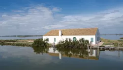 MAGAZIN DARIOLaguna_Valli_di_Comacchio_-_foto_Majetic.JPG