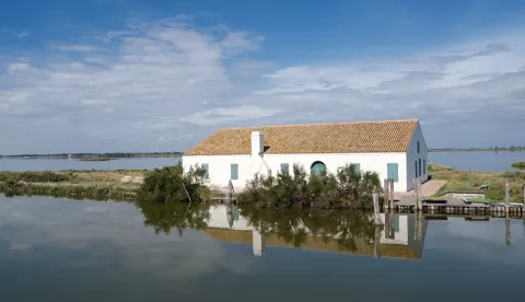 MAGAZIN DARIOLaguna_Valli_di_Comacchio_-_foto_Majetic.JPG