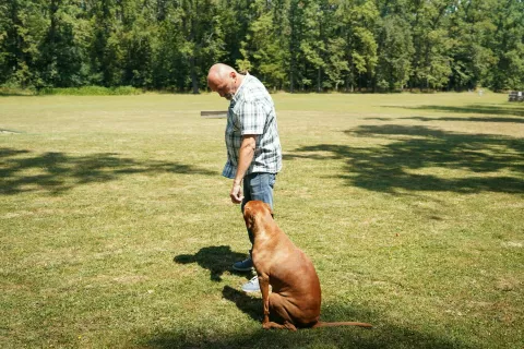 VINKOVCIU lovištu Stari Kunjevci, nadomak Vinkovaca, održana je smotra i uzgojni pregled službenih i sportskih pasmina pasa u organizaciji Kinološkog društva Vinkovci,