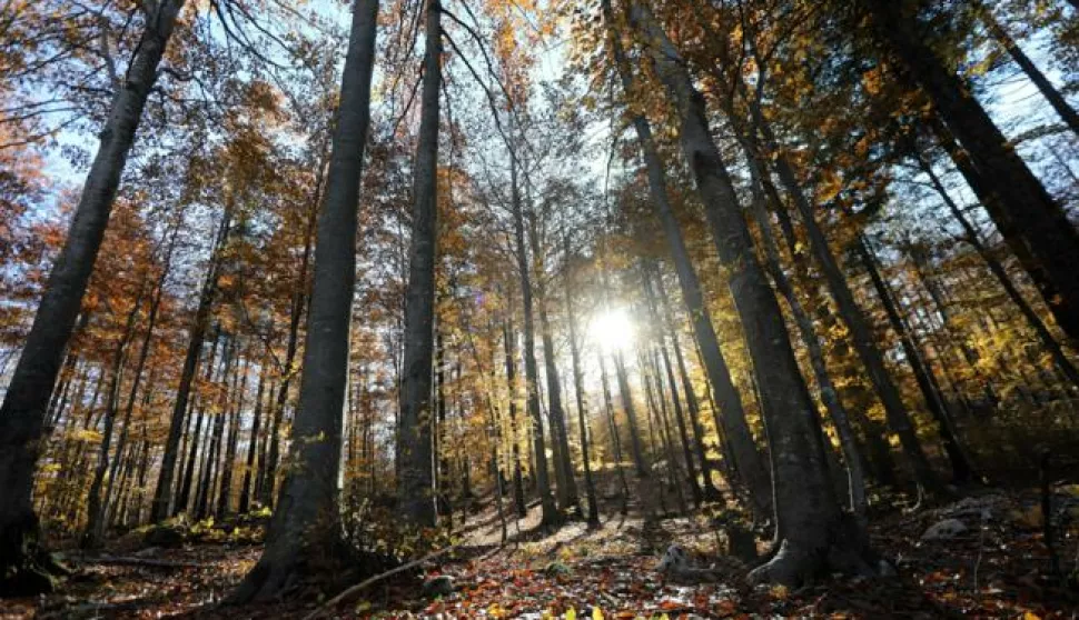 23.10.2021., Platak - Jesen na Platku. 