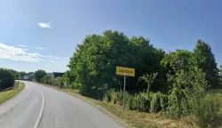 Afrička svinjska kuga navodno u Jagodnjaku