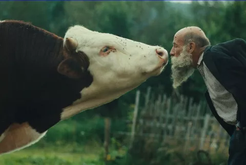 Kristalni globus pripao filmu “Better Go Mad in the Wild”