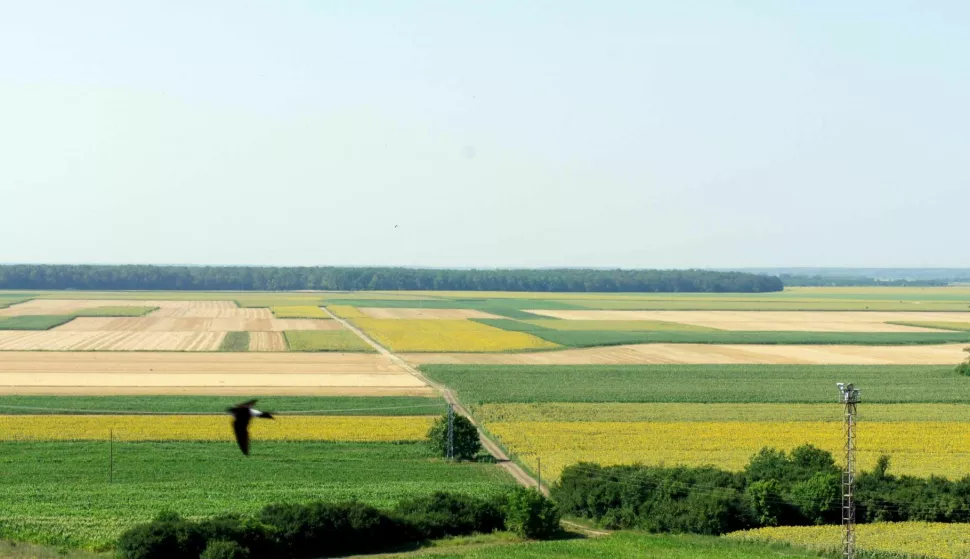 Grad poljoprivrednicima: Potpore za proizvođače paprike, voćare, medare...