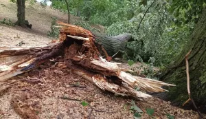 ĐakovoOlujno nevrijeme rušilo tabla u Velikom parku7. srpnja 2025.